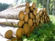 Arbeiten von Holz Holztrocknung